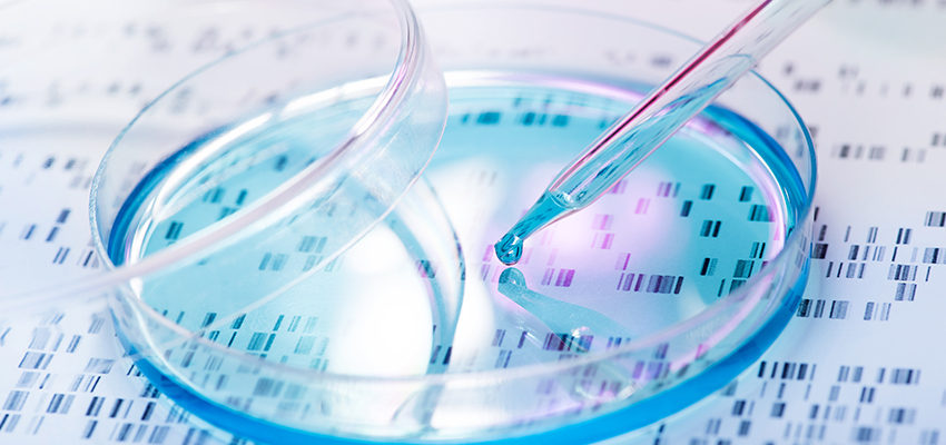 Genotyping vs. Sequencing